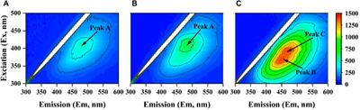 Enhancing algal growth and nutrient recovery from anaerobic digestion piggery effluent by an integrated pretreatment strategy of ammonia stripping and flocculation